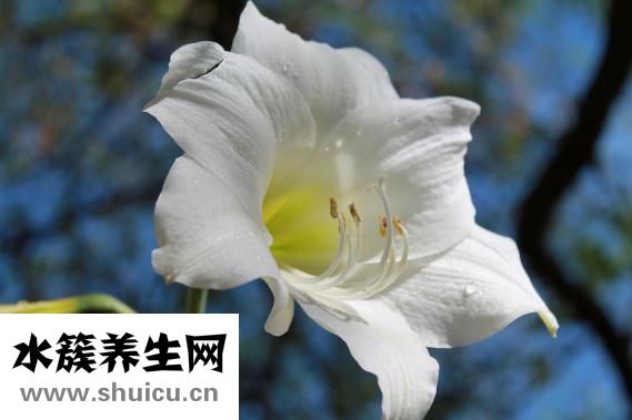 急性肠胃炎吃什么药