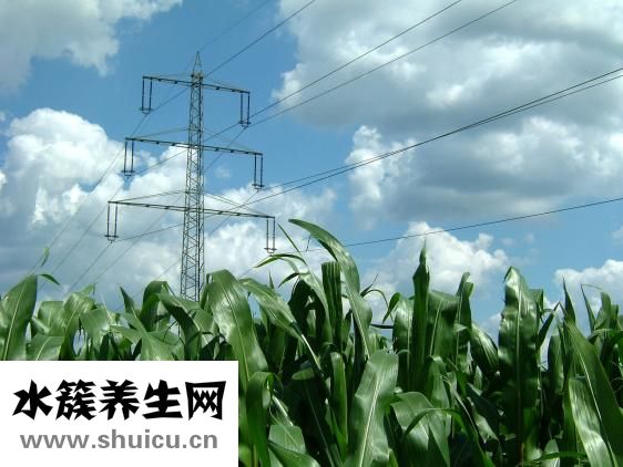 九阳榨汁机怎么用