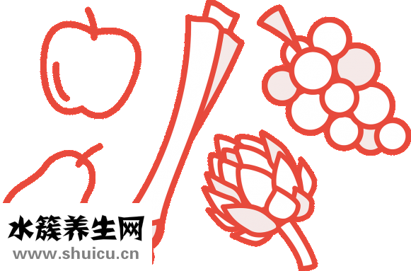 多肉怎么养