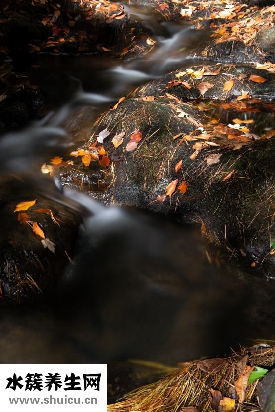 好孩子推车怎么折叠
