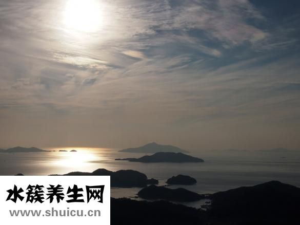 如何快速的减肥