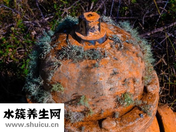 手心发热是怎么回事