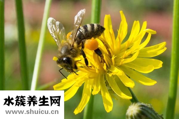 怎么治疗黑眼圈