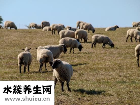 如何治疗失眠