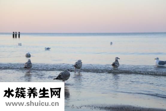 怀孕了怎么办