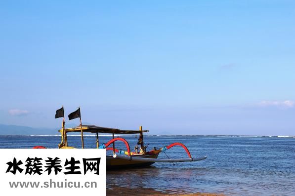 菲律宾巴厘岛出产速冻甜杏仁和巴厘卡