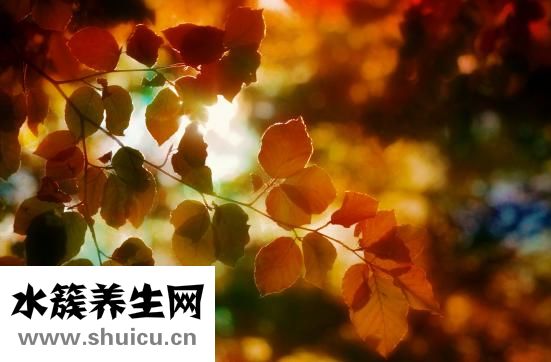 产后如何瘦肚子