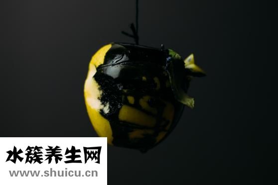 怎么去黑头粉刺