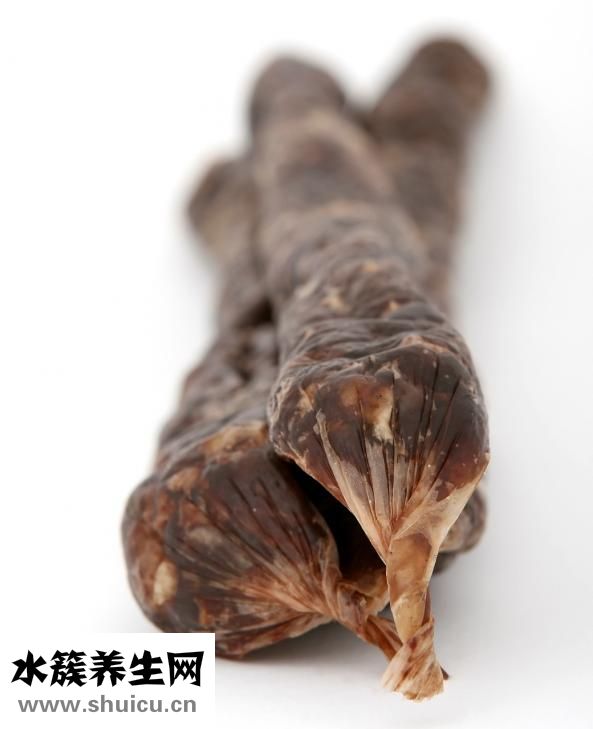 仓鼠怎么养