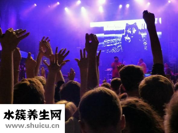 家里养什么鱼好