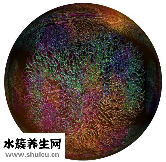 孩子不上学怎么办