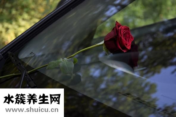 人死了是什么感觉