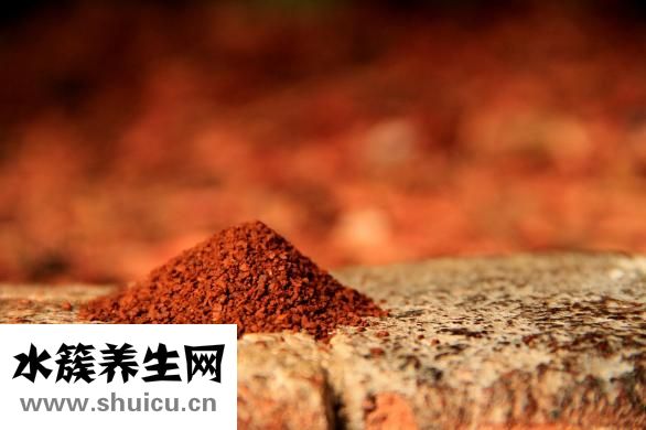 仓鼠怎么养