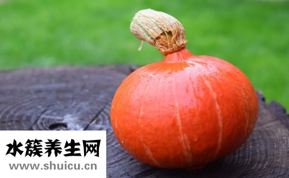 多肉怎么养