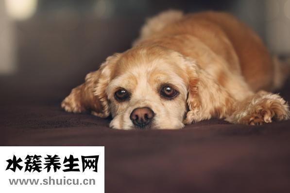 感谢信怎么写