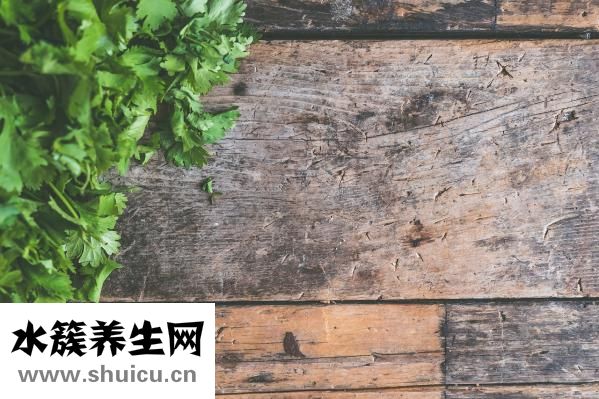 家里养什么鱼好