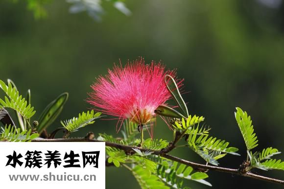 妇检都检查什么