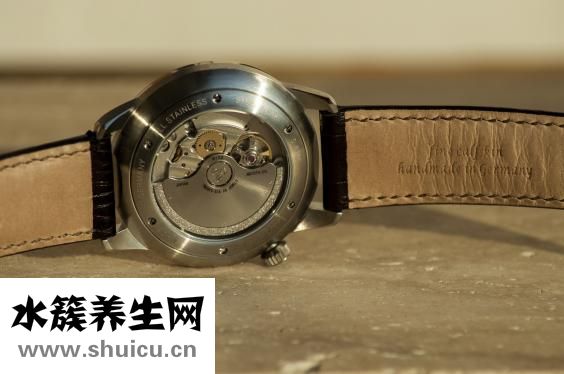 文竹叶子发黄怎么办