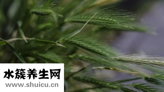 五行属金的字有哪些