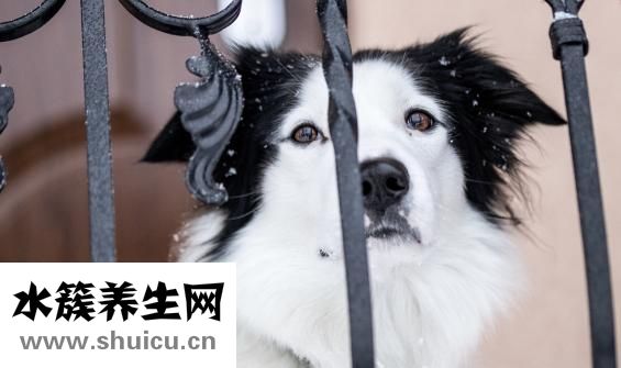 人流后多久可以怀孕