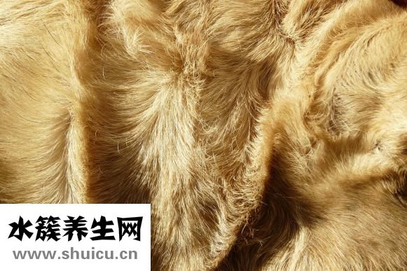 头发分叉怎么办
