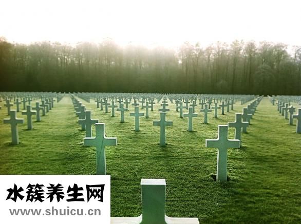 在家可以做什么赚钱