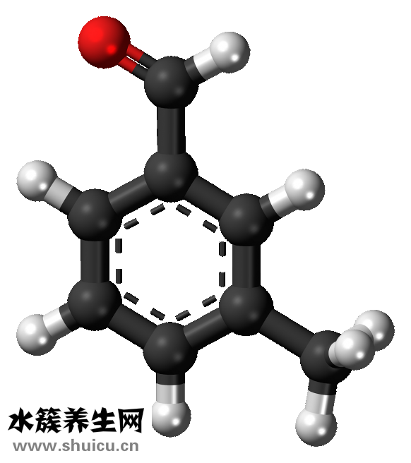 九层塔是什么菜
