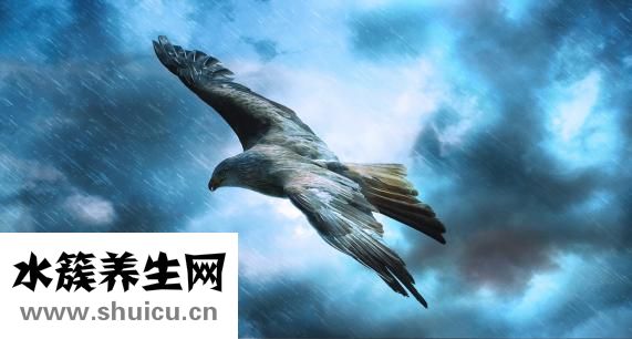 左眼皮跳是什么预兆