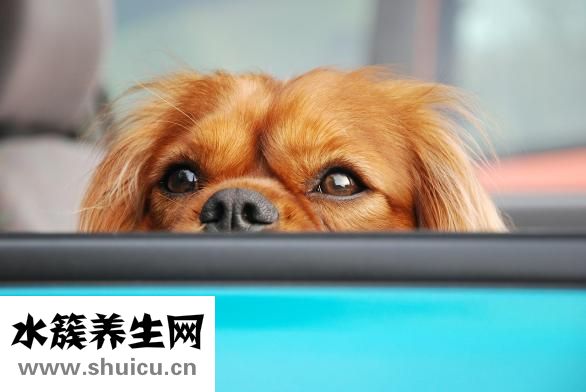 卸妆油怎么用