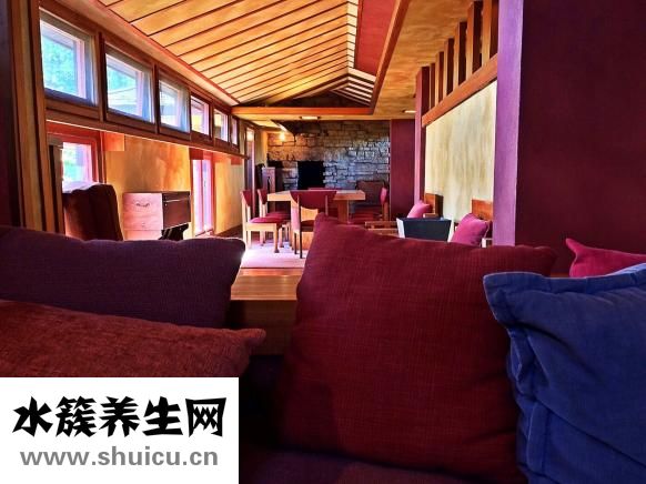 可乐鸡翅怎么做