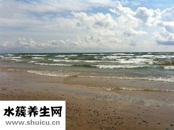 掉头发是缺什么