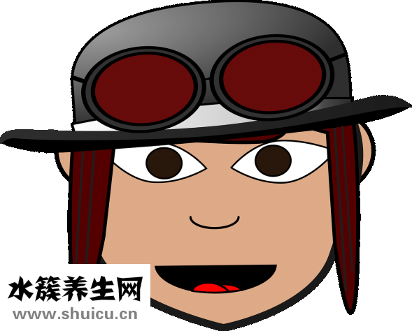 乌龟怎么吃