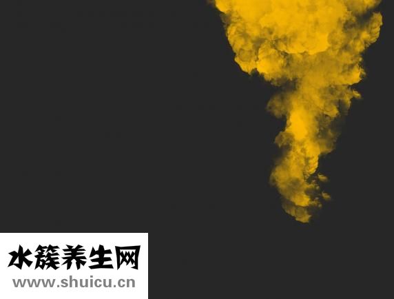什么的浪花
