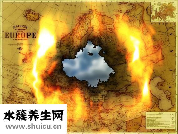 文竹叶子发黄怎么办