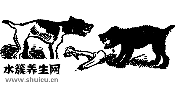 可乐鸡翅怎么做