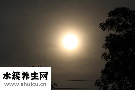 分水岭是什么意思