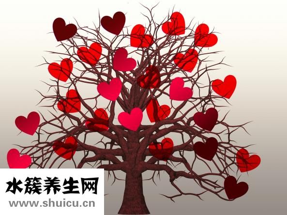 心率过少是否会导致心血管疾病产生？