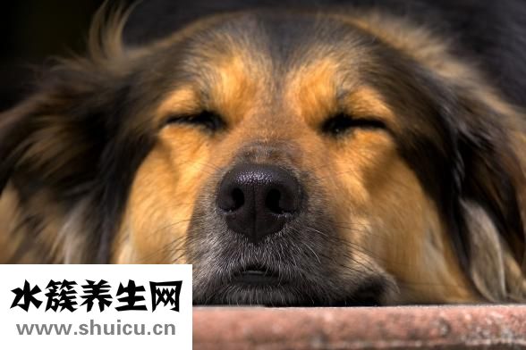 怎么缩小鼻孔