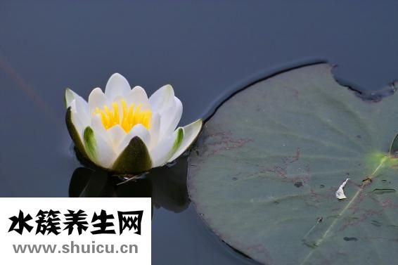 三个火是什么字