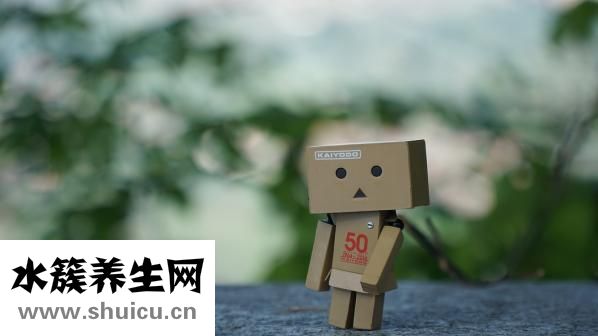 五毒是什么