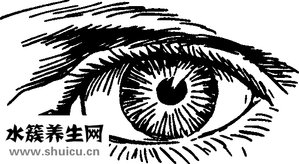 且行且珍惜什么意思