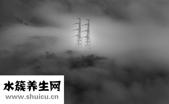 五毒是什么