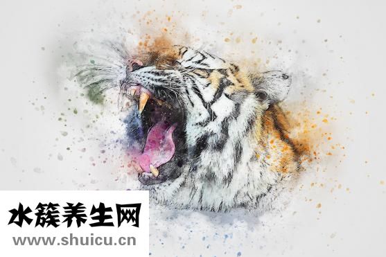 怎么瘦屁股