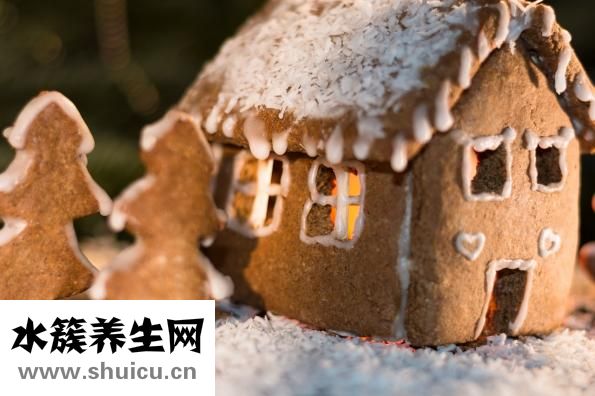 九层塔是什么菜