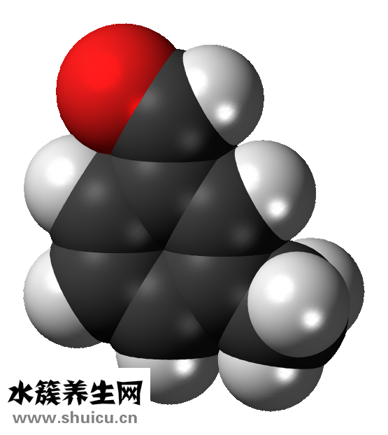 九层塔是什么菜