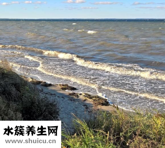 惊涛骇浪是什么意思