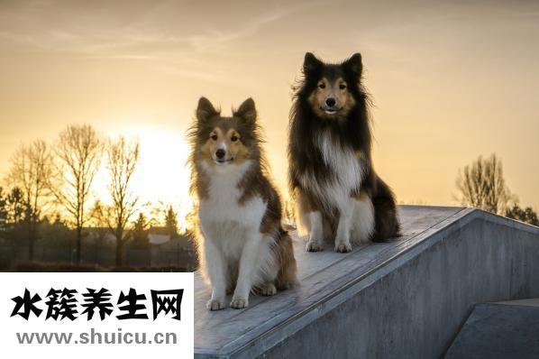 小孩拉肚子怎么办