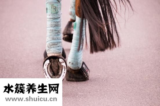 拍拖什么意思