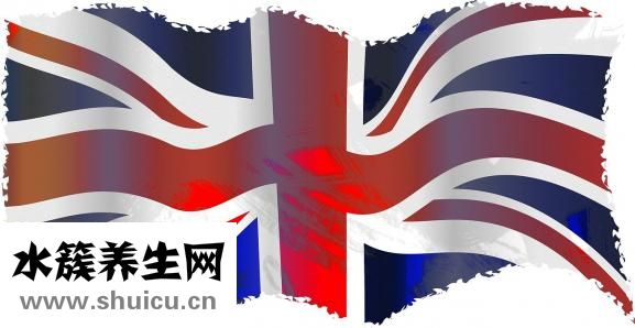 挂科什么意思
