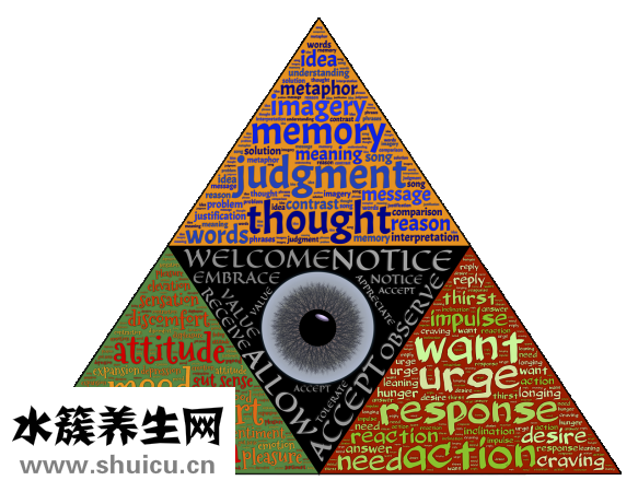 怀孕多久会有反应